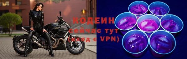 дурь Пересвет
