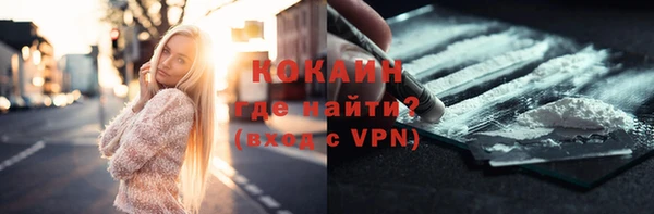 ПСИЛОЦИБИНОВЫЕ ГРИБЫ Осинники