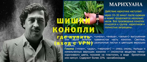 ПСИЛОЦИБИНОВЫЕ ГРИБЫ Осинники