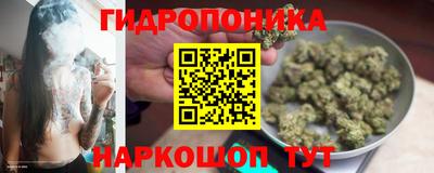 дмт Балахна