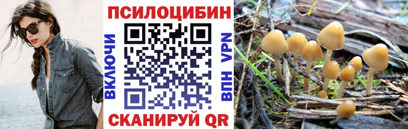 Псилоцибиновые грибы ЛСД  Волжск 