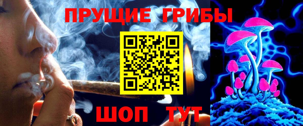 Псилоцибиновые грибы Psilocybe Волжск