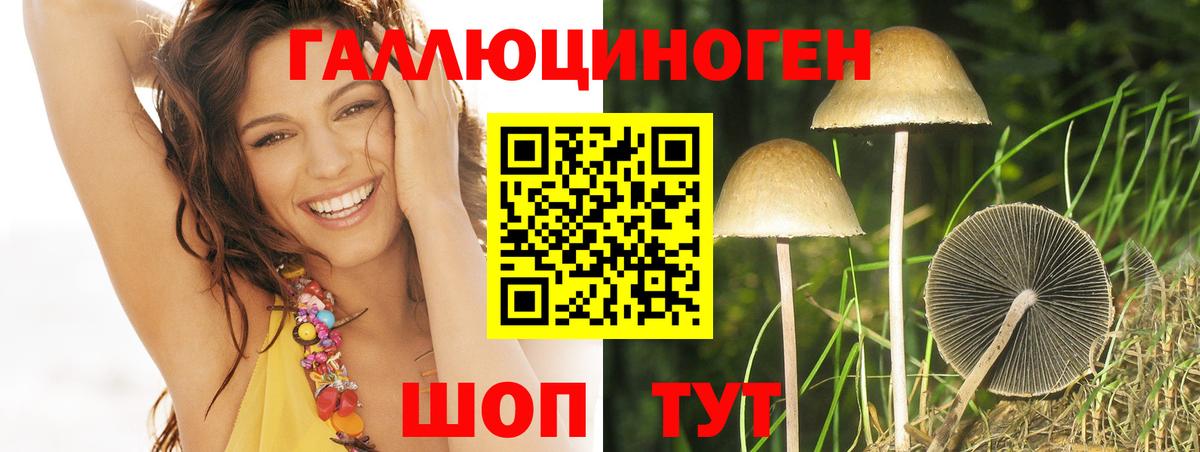 Галлюциногенные грибы Cubensis  Галлюциногенные грибы мицелий  Волжск 